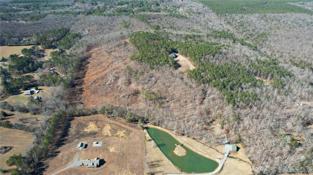 1 Bozeman Road Rydal, GA 30171 - Photo 9 of 29 an aerial view of a house with a yard and trees