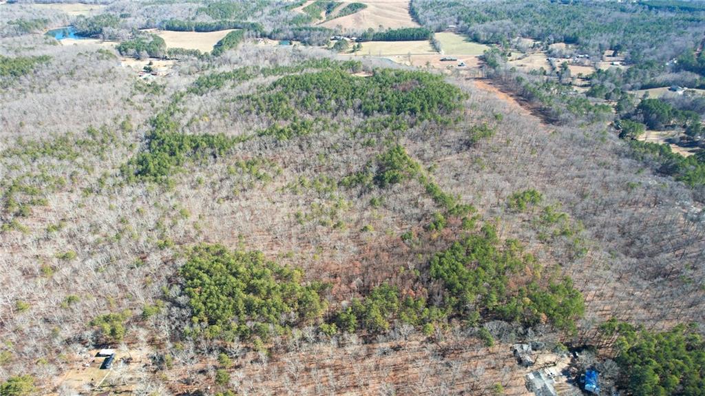 1 Bozeman Road Rydal, GA 30171 - Photo 10 of 29 a view of a yard with plants and trees