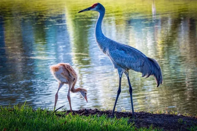 $192,400 | 695 Midway Drive, Unit A, Ocala, FL 34472