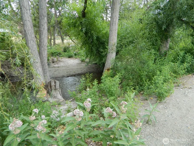 a view of a garden with large trees