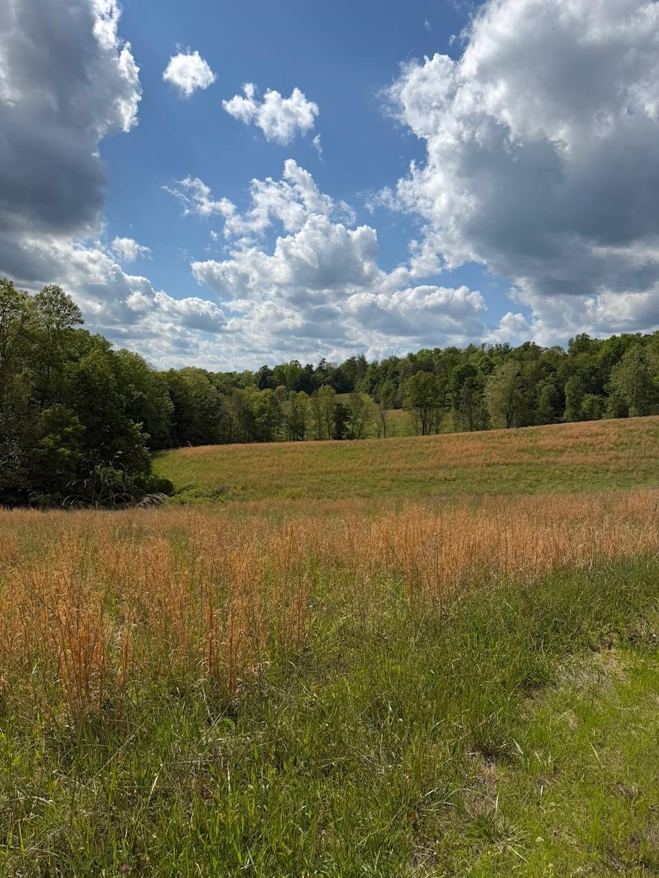 2395 Stringtown Road Sandy Hook, KY 41171 - Photo 3 of 13