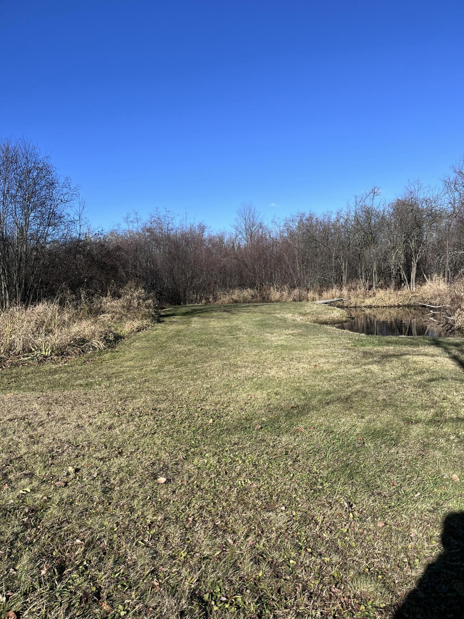 9 South 9 Mile Road Falmouth, MI 49632 - Photo 11 of 40 IMG_0999