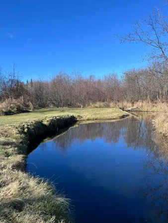 $165,000 | 9 South 9 Mile Road, Falmouth, MI 49632