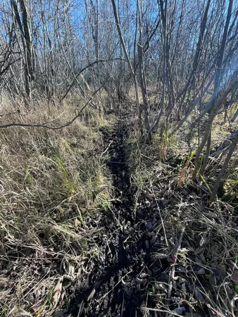 $165,000 | 9 South 9 Mile Road, Falmouth, MI 49632