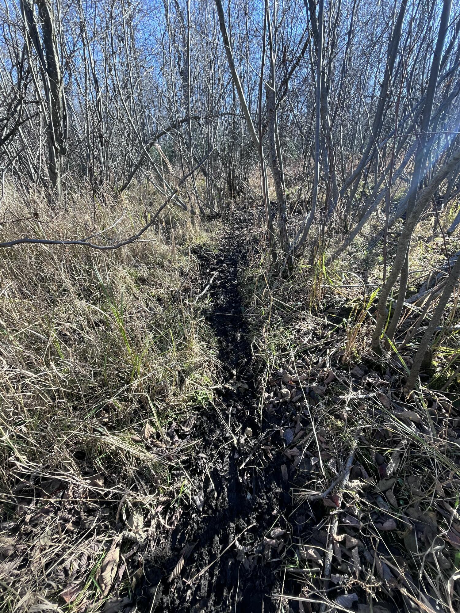 9 South 9 Mile Road Falmouth, MI 49632 - Photo 14 of 40 IMG_1004