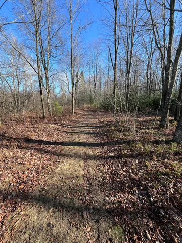 $165,000 | 9 South 9 Mile Road, Falmouth, MI 49632