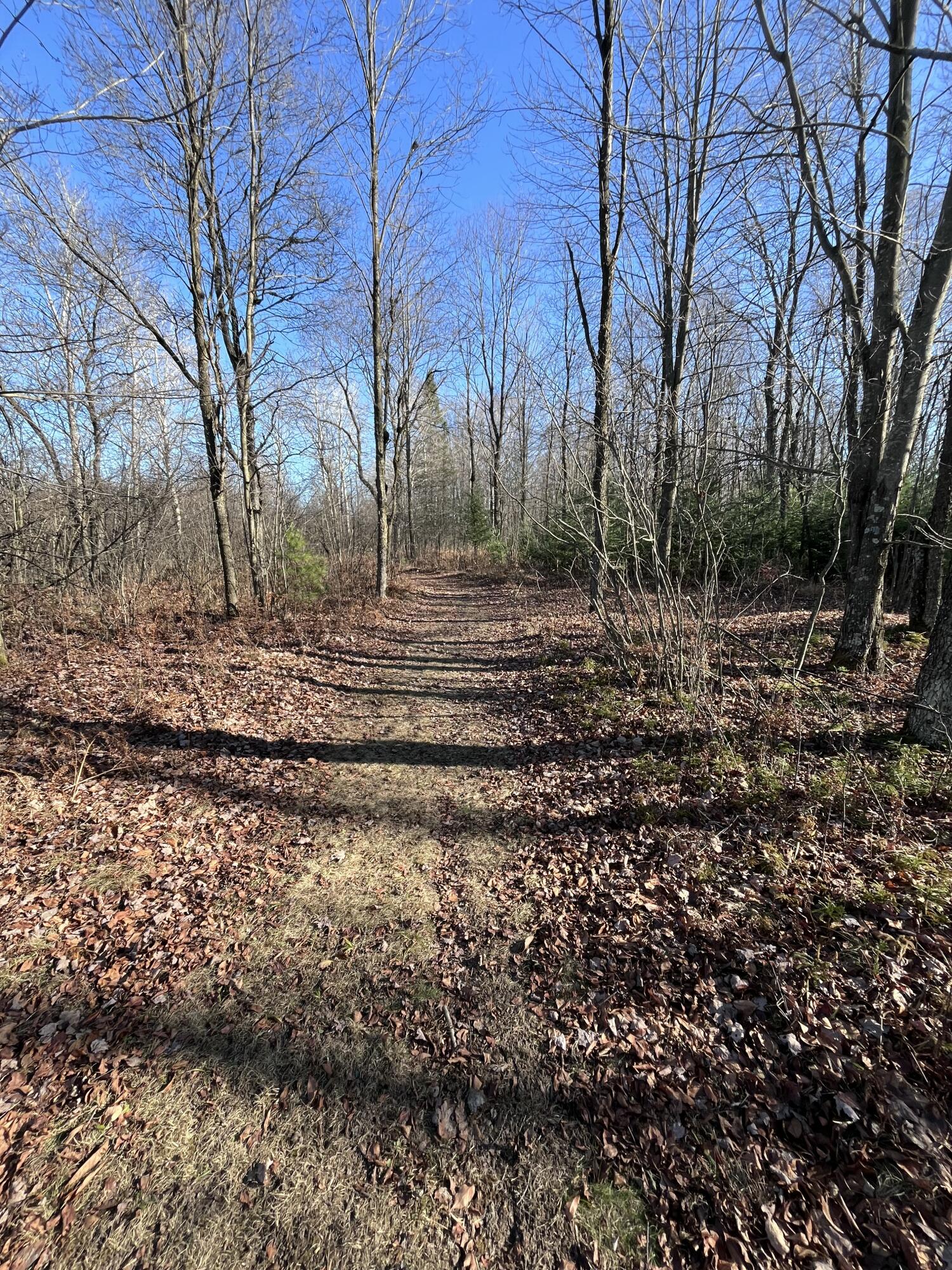 9 South 9 Mile Road Falmouth, MI 49632 - Photo 15 of 40 IMG_1005