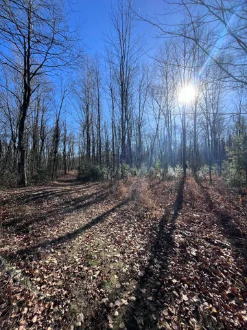 $165,000 | 9 South 9 Mile Road, Falmouth, MI 49632