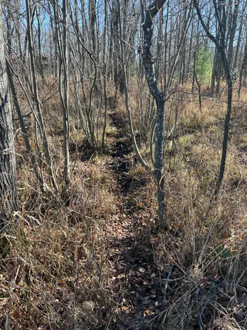 $165,000 | 9 South 9 Mile Road, Falmouth, MI 49632