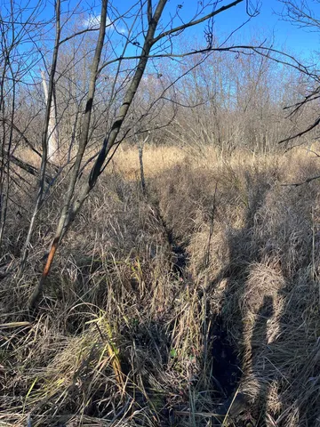 $165,000 | 9 South 9 Mile Road, Falmouth, MI 49632