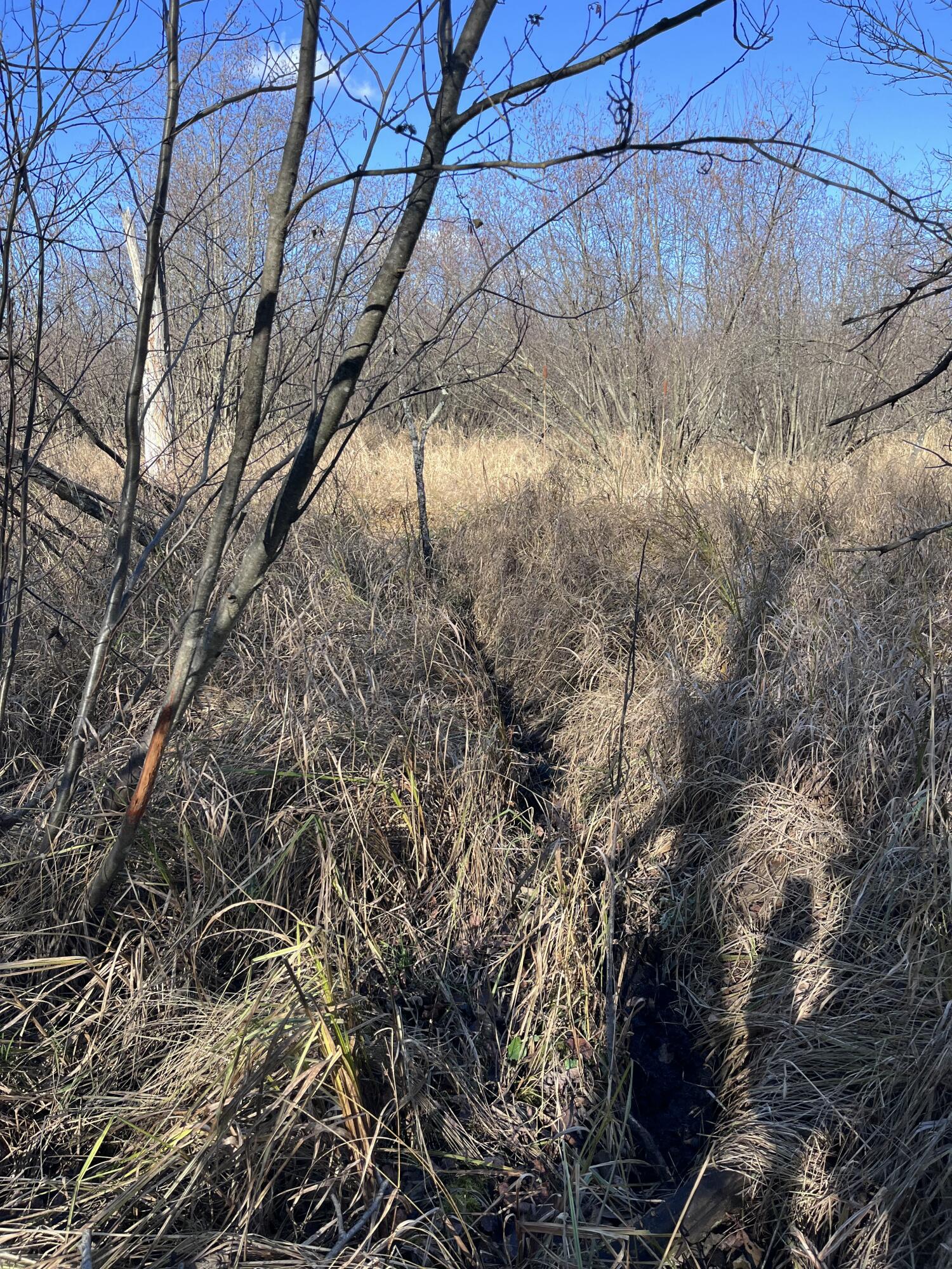 9 South 9 Mile Road Falmouth, MI 49632 - Photo 19 of 40 IMG_1015