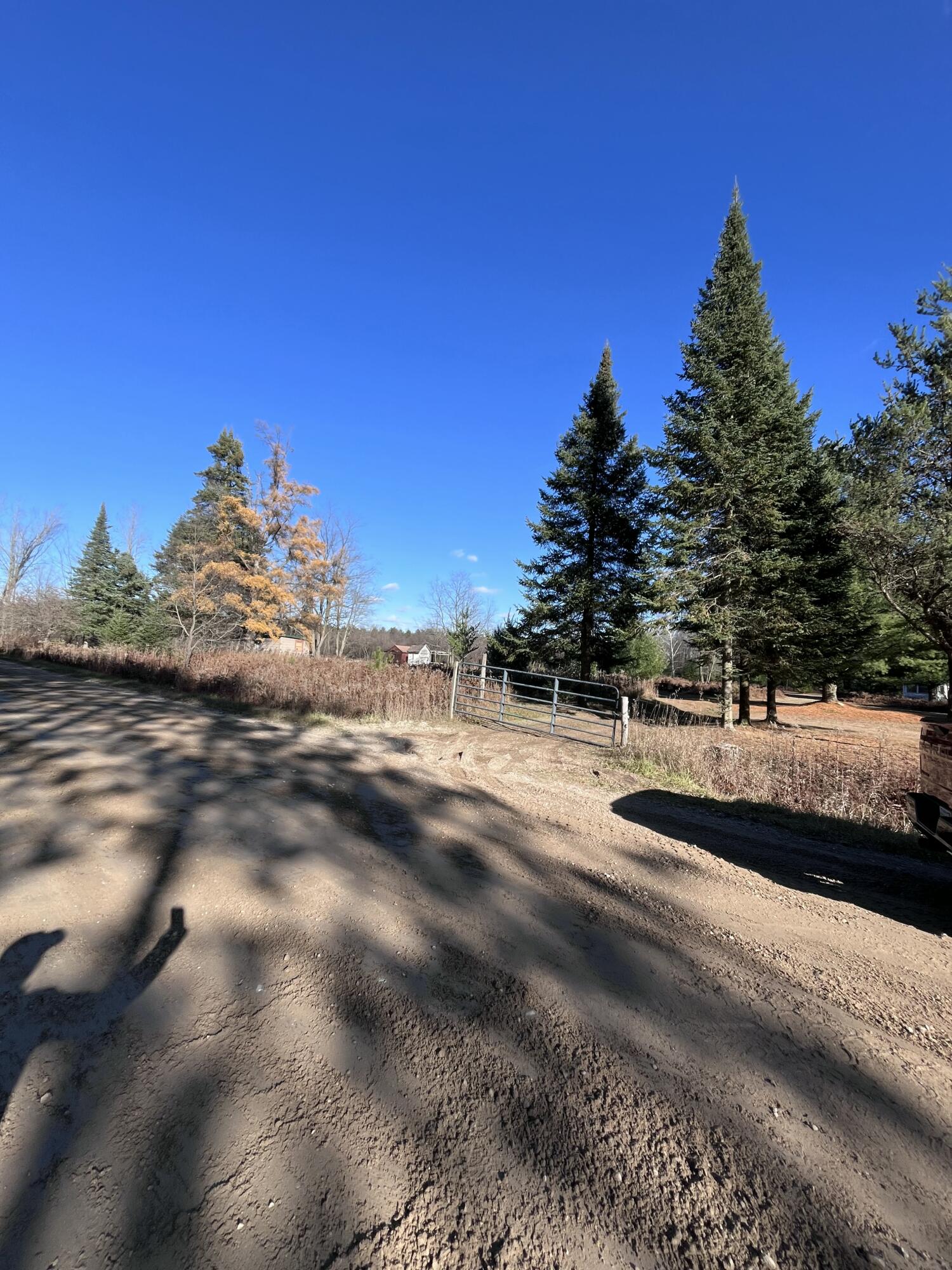 9 South 9 Mile Road Falmouth, MI 49632 - Photo 38 of 40 IMG_1041