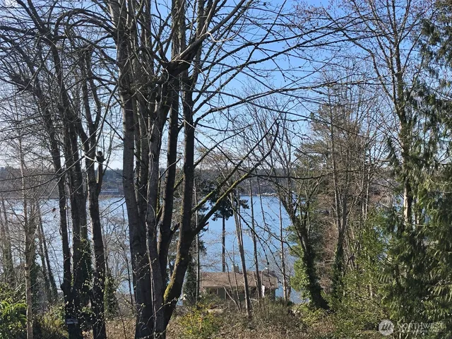 a backyard of a house with lots of trees