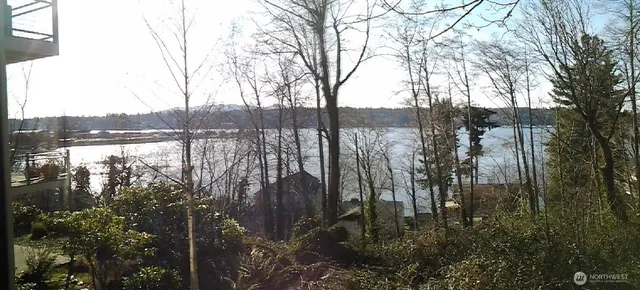 a view of river covered by trees and buildings