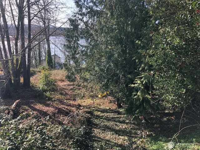 a backyard of a house with lots of green space