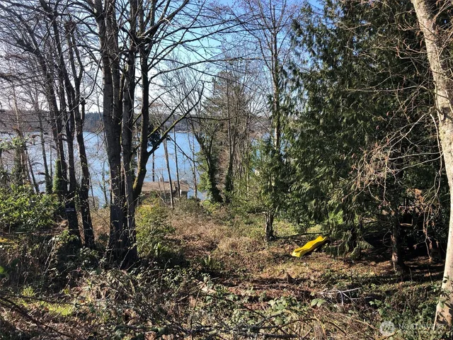 a backyard of a house with lots of trees