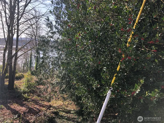 a view of a yard in front of a house