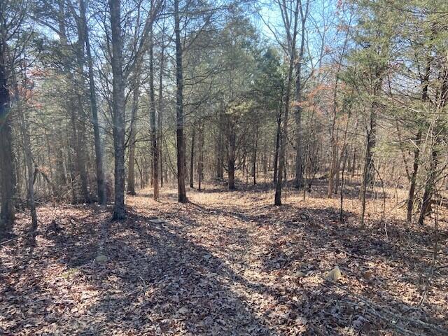 1702 Mattox Road Falmouth, KY 41040 - Photo 21 of 50 Gallery Image 21