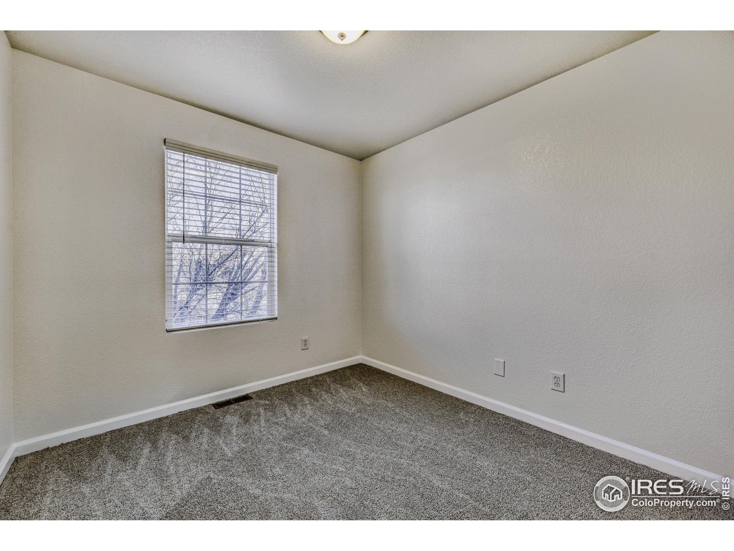 6130 Gorham Street Frederick, CO 80530 - Photo 33 of 48 an empty room with windows