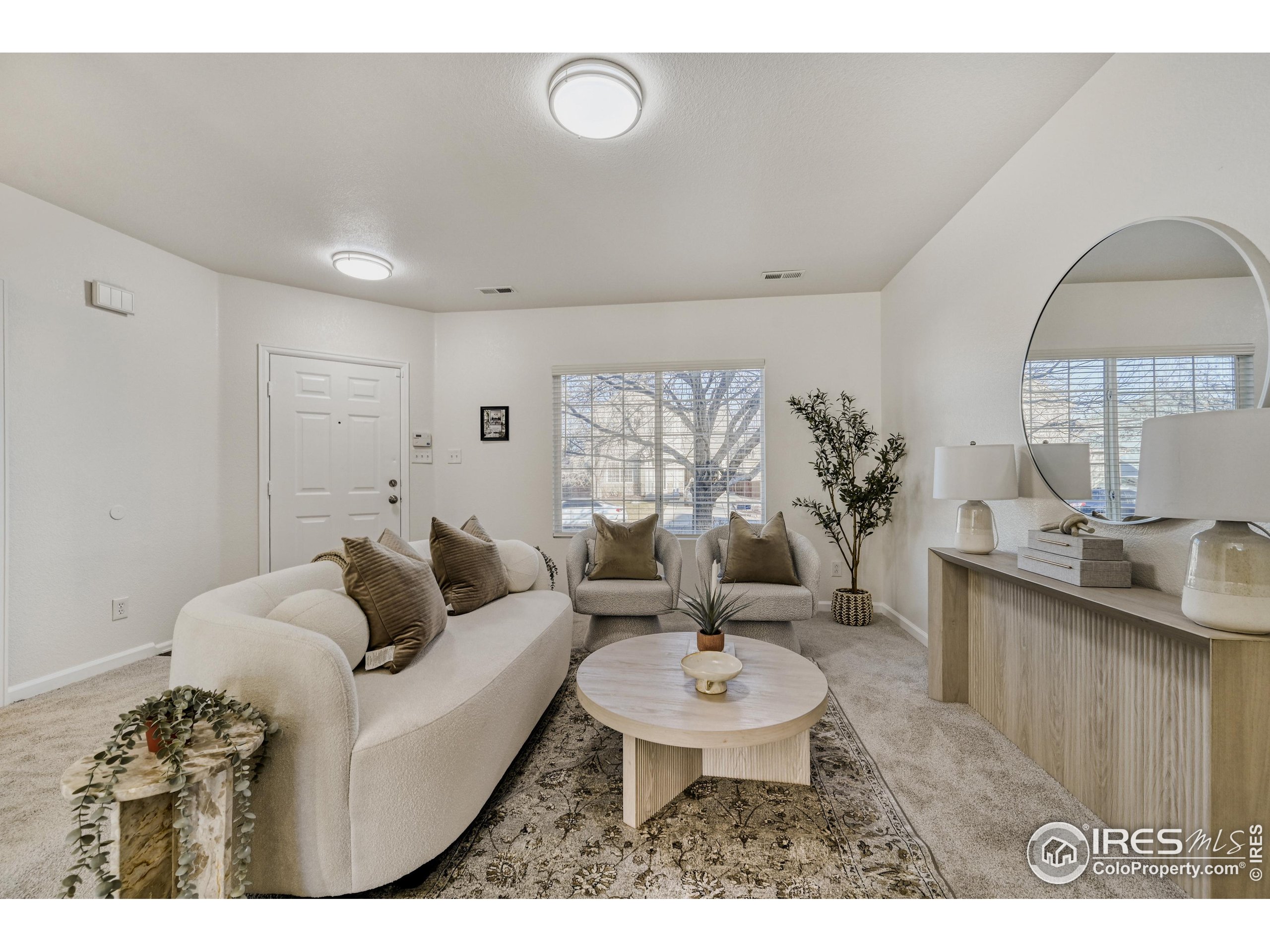 6130 Gorham Street Frederick, CO 80530 - Photo 8 of 48 a living room with furniture a table and a potted plant