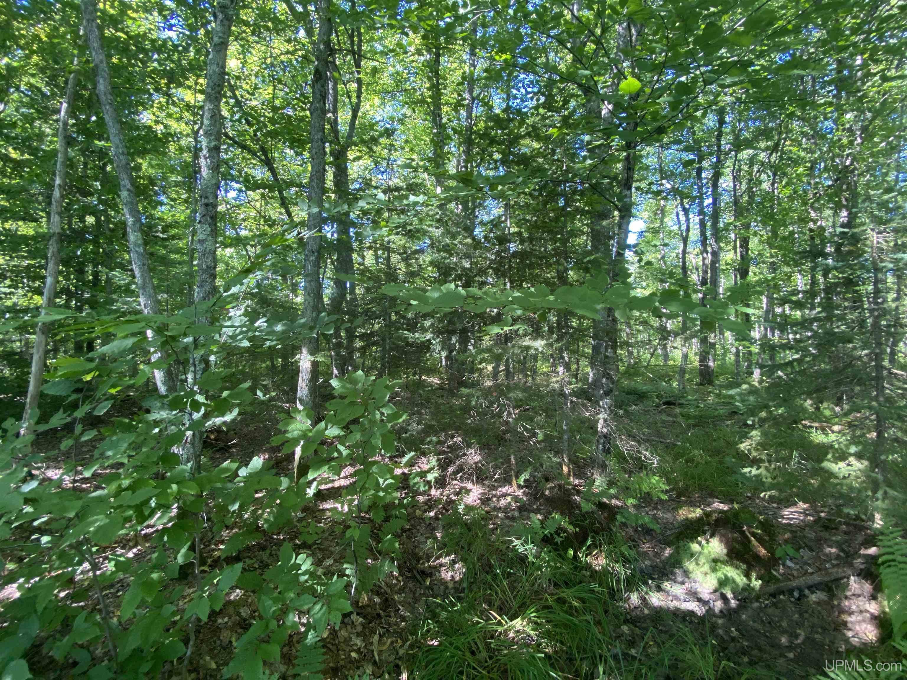 Tbd South Tbd S Sundell Road Chatham, MI 49816 - Photo 24 of 24