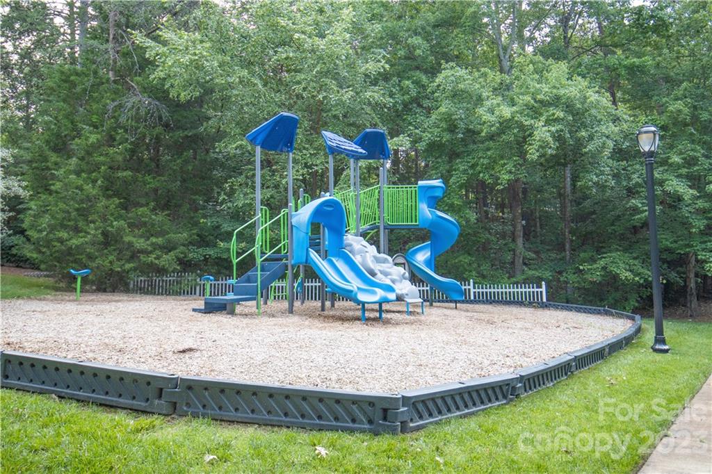 205 Coneflower Place Fort Mill, SC 29708 - Photo 34 of 38 a view of outdoor space with garden