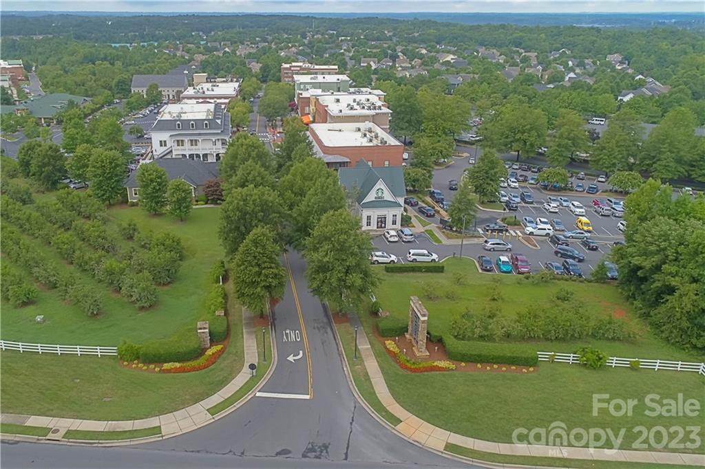 205 Coneflower Place Fort Mill, SC 29708 - Photo 35 of 38 an aerial view of residential houses with outdoor space and trees
