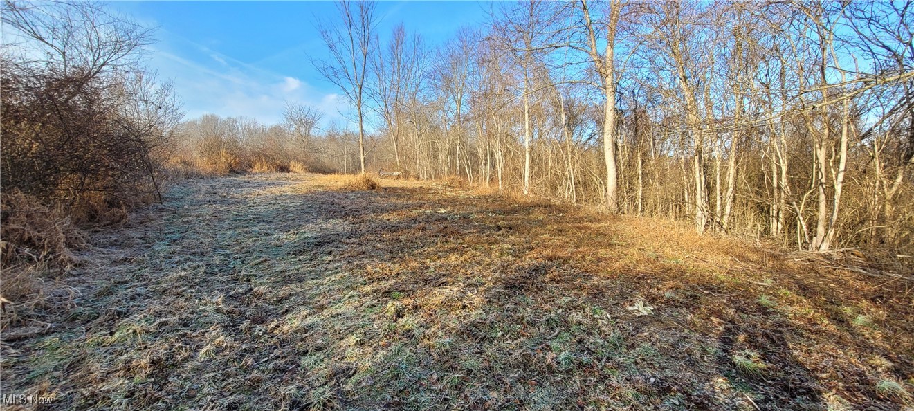 399 Township Road Coshocton, OH 43812 - Photo 14 of 50