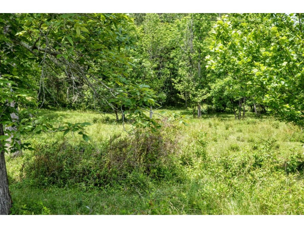 0 Valleydale Road Mosheim, TN 37818 - Photo 15 of 16 Photo 15