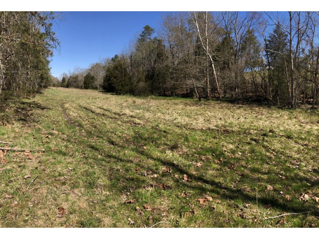 0 Valleydale Road Mosheim, TN 37818 - Photo 3 of 16 Photo 3