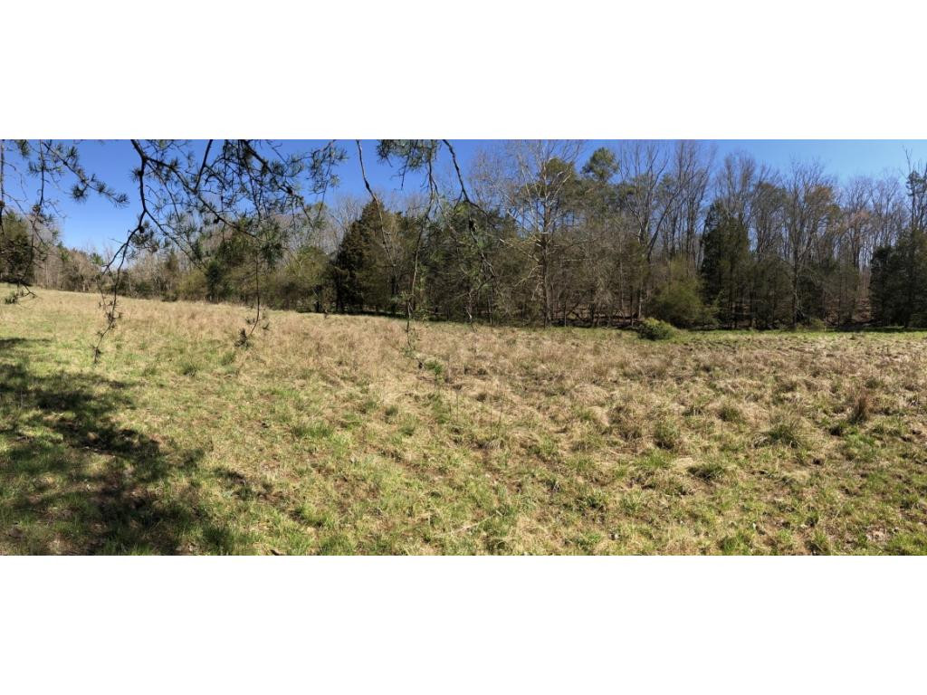 0 Valleydale Road Mosheim, TN 37818 - Photo 4 of 16 Photo 4