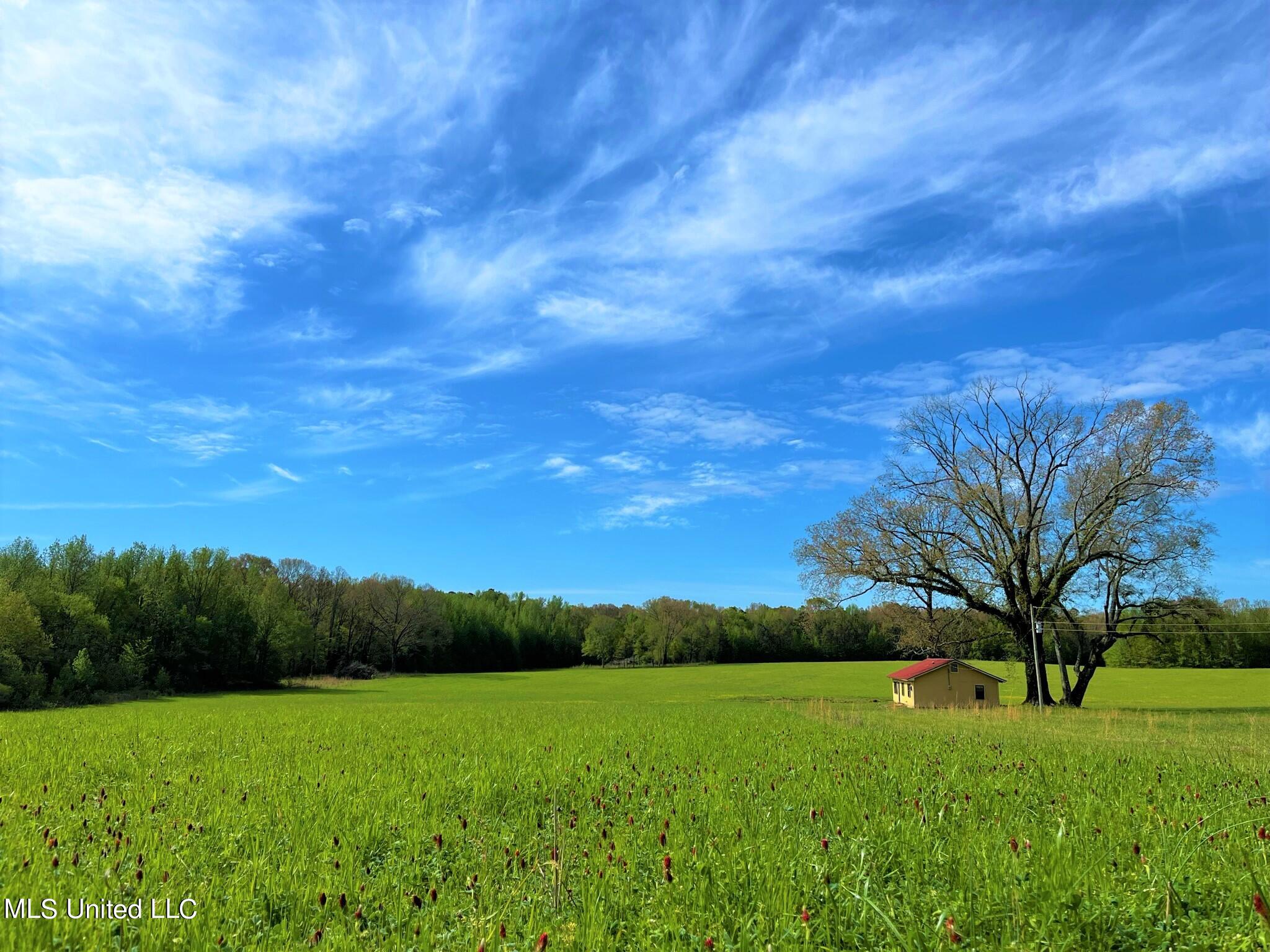 James Road Pickens, MS 39146 - Photo 1 of 24 Camp and Land