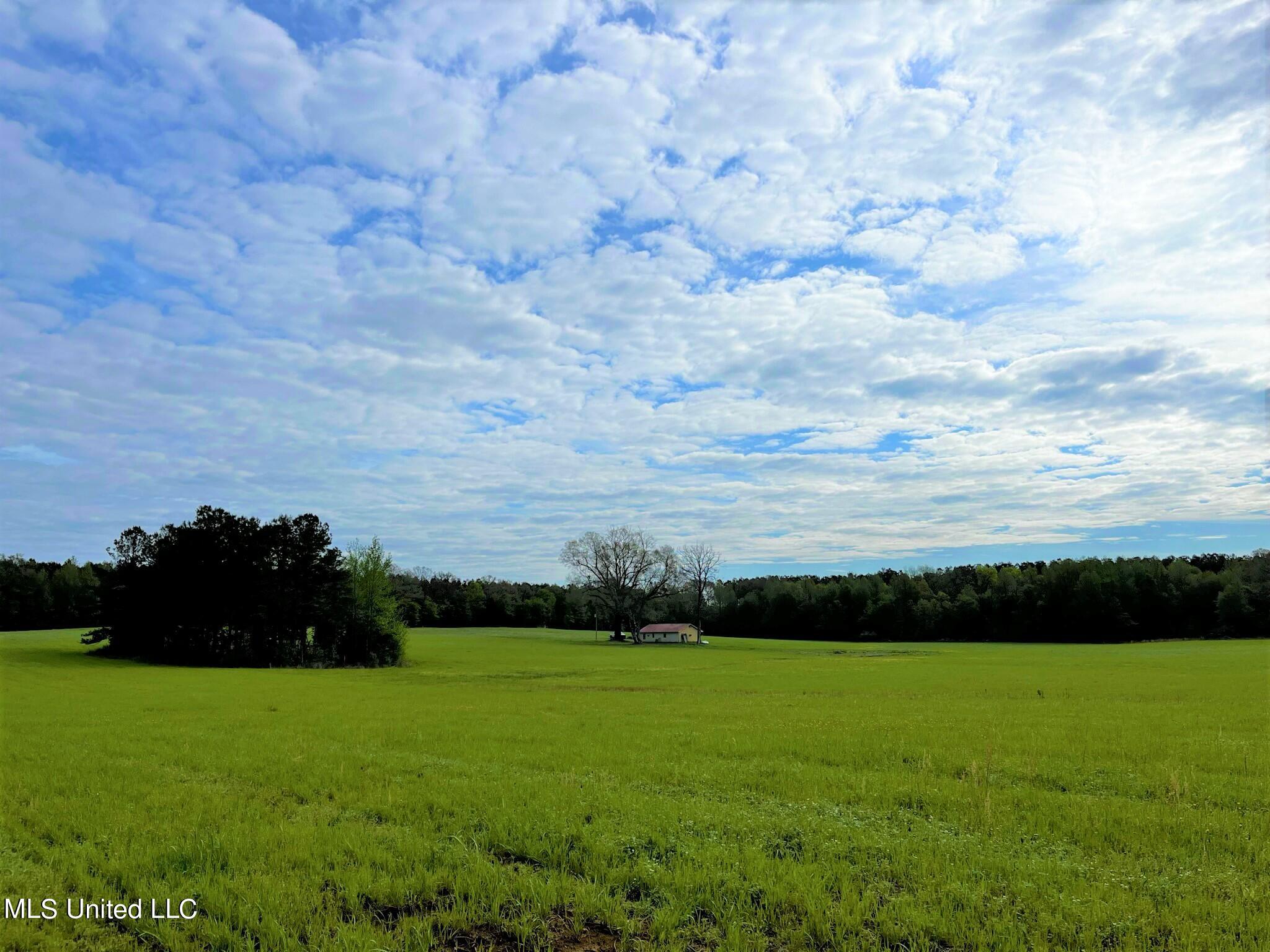 James Road Pickens, MS 39146 - Photo 13 of 24 IMG_7077
