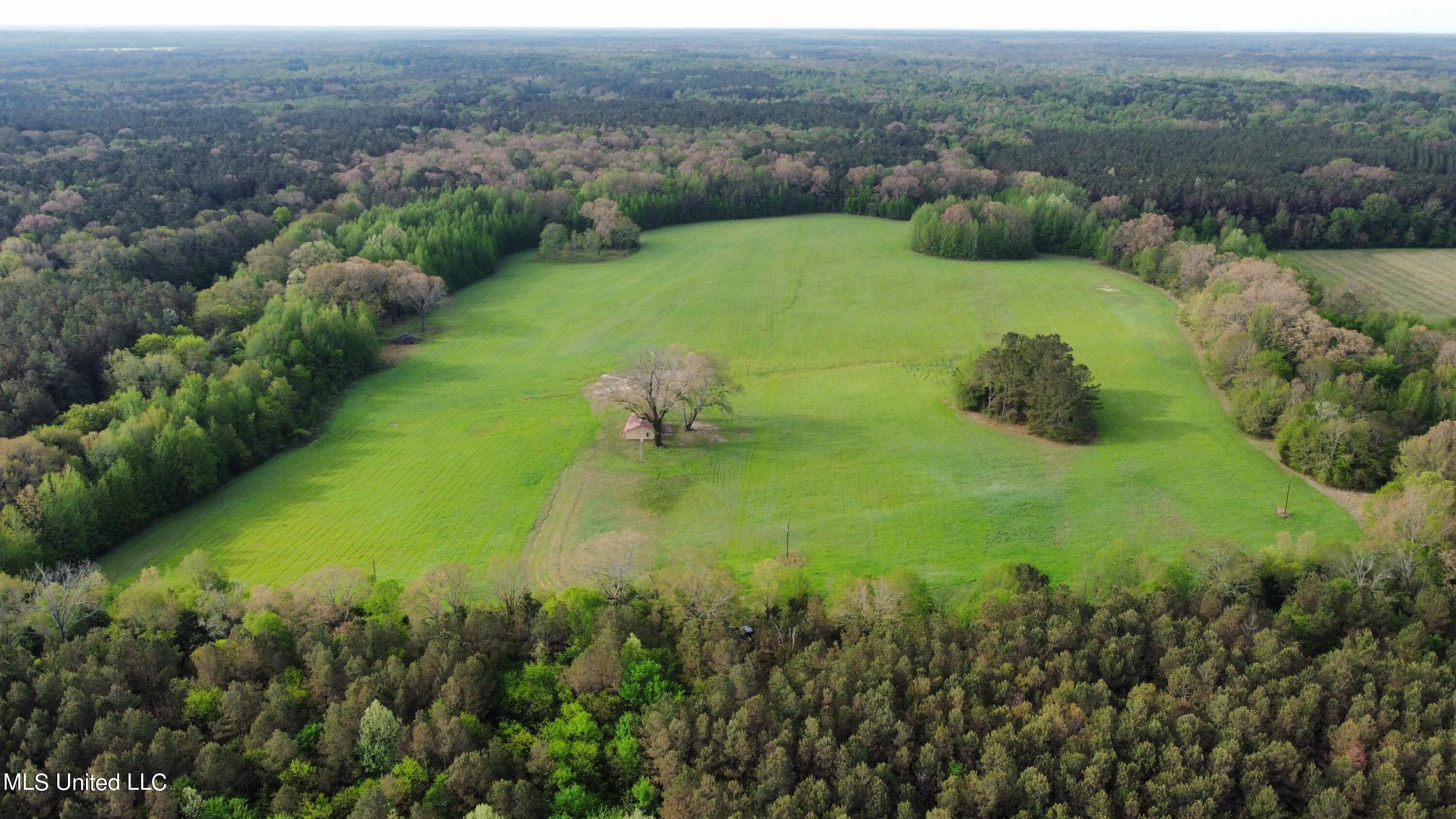James Road Pickens, MS 39146 - Photo 3 of 24 dji_fly_20230410_084620_654_168113450785