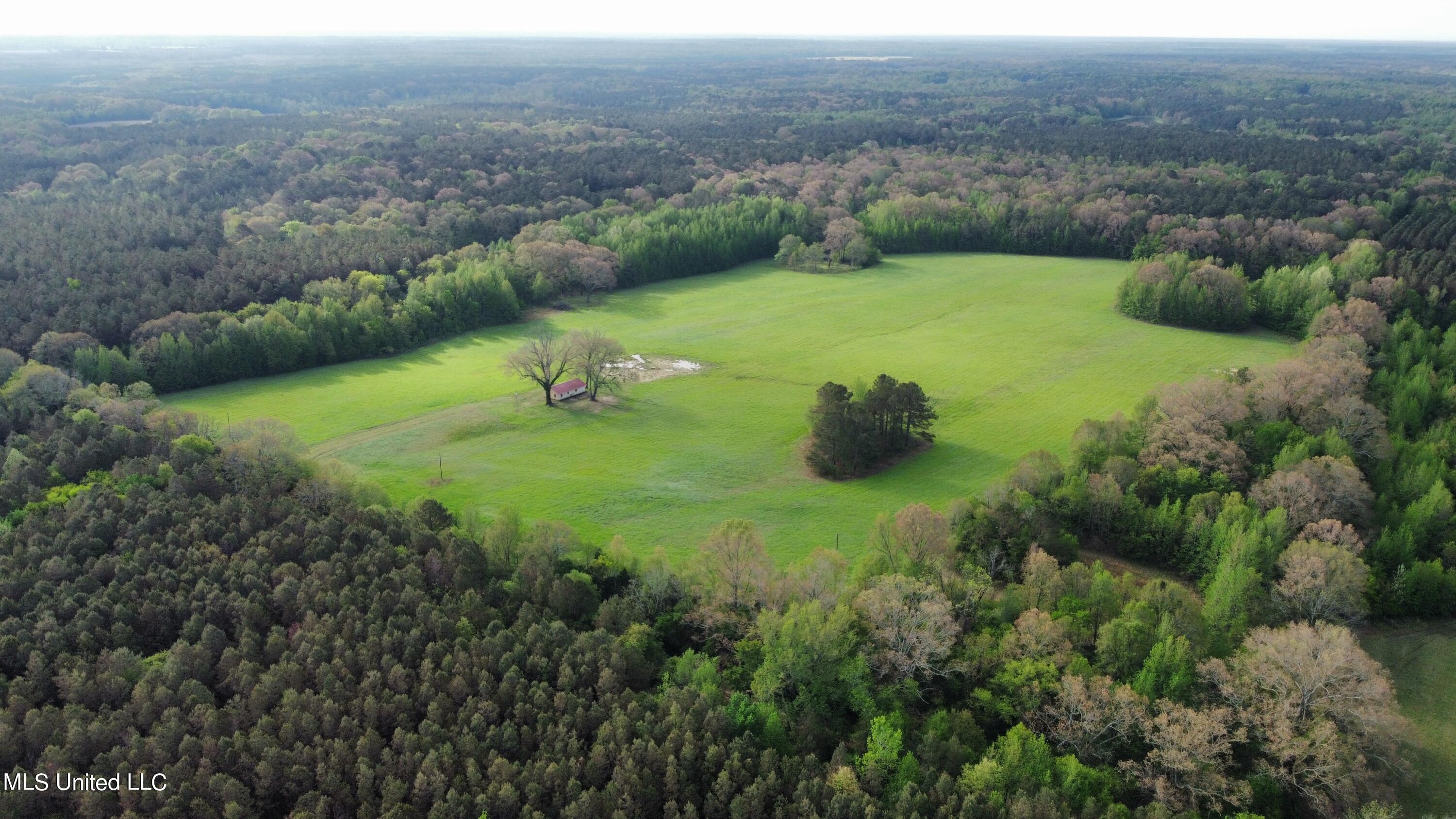 James Road Pickens, MS 39146 - Photo 4 of 24 dji_fly_20230410_084704_655_168113450666