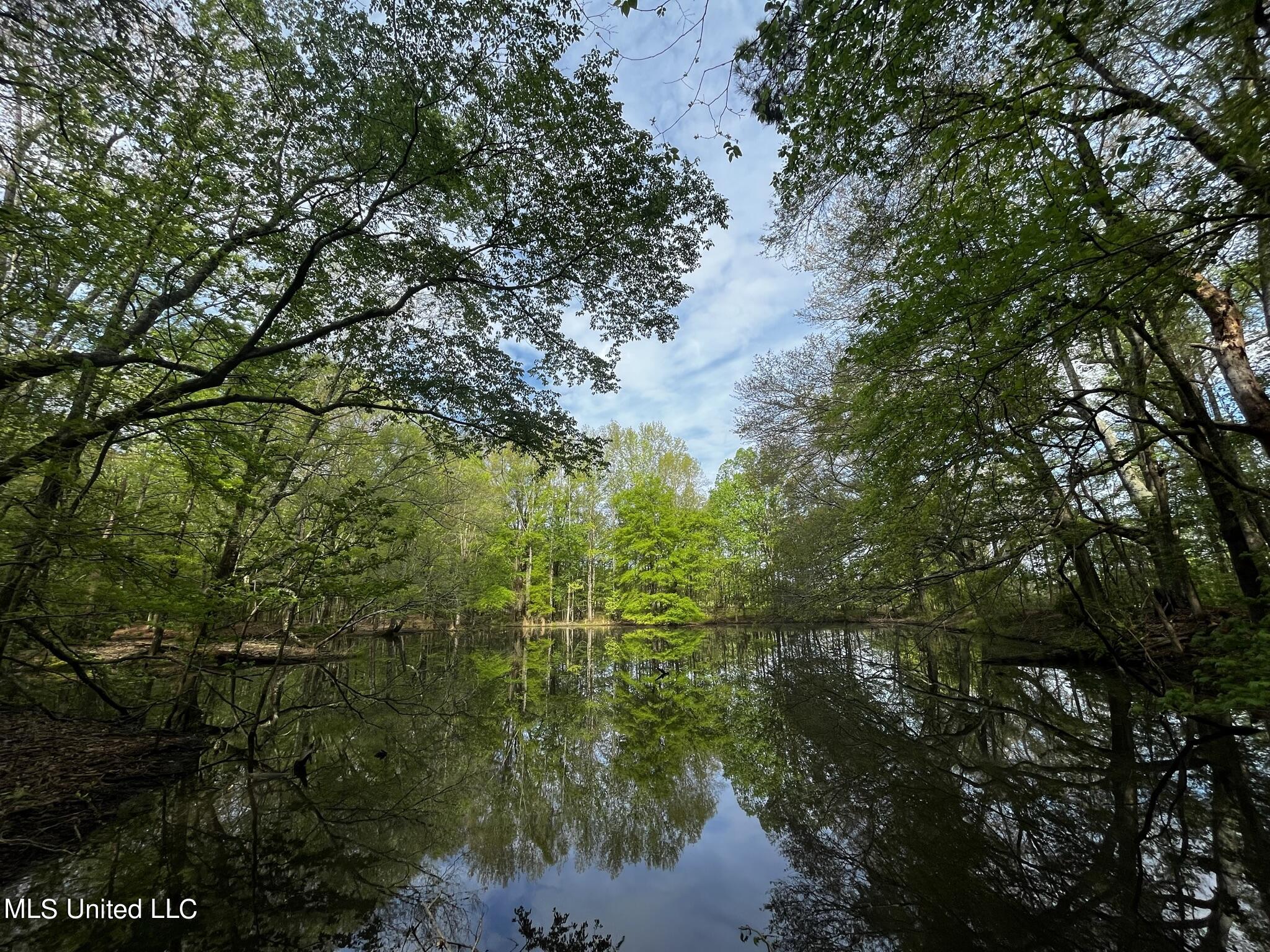 James Road Pickens, MS 39146 - Photo 5 of 24 IMG_7076