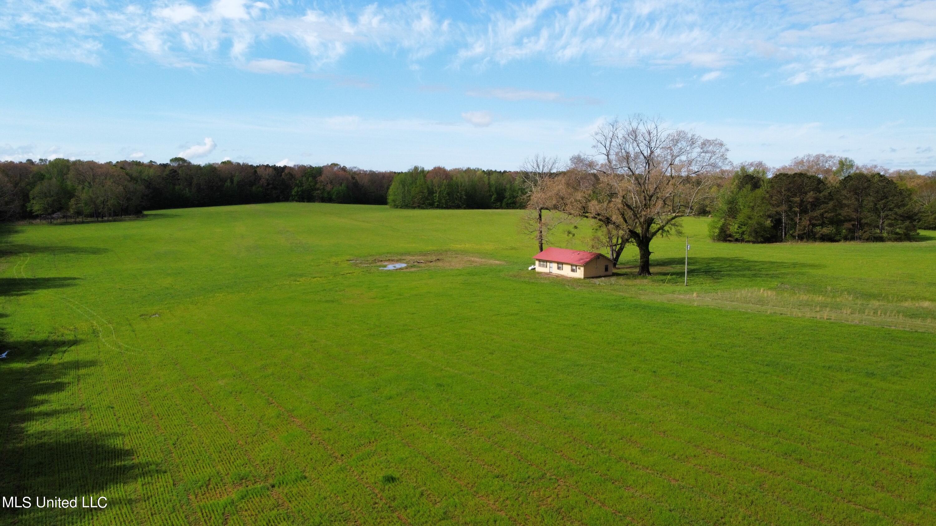 James Road Pickens, MS 39146 - Photo 7 of 24 dji_fly_20230410_095246_658_168113850592