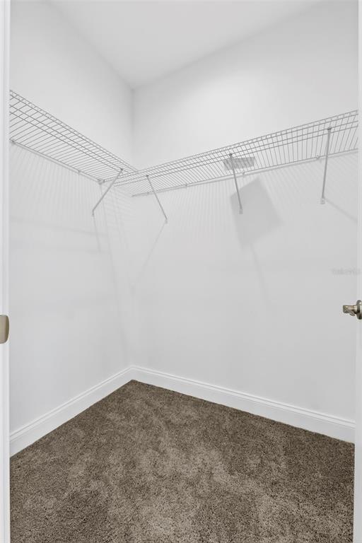 200 Snowy Orchid Way Lake Alfred, FL 33850 - Photo 46 of 81