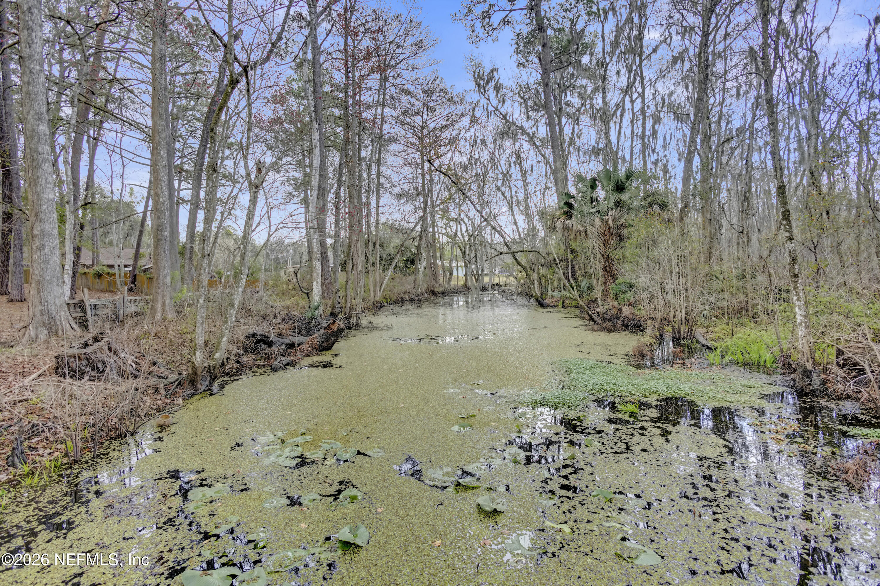 1387 Heath Road Green Cove Springs, FL 32043 - Photo 131 of 136 a view of a yard with trees