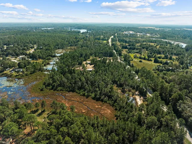 a view of a lush green forest with trees and a houses