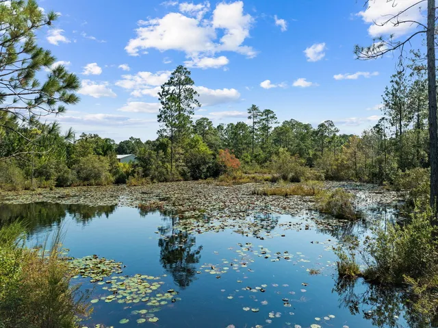 a view of lake with green space