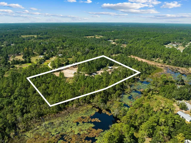 a view of a yard with a tree