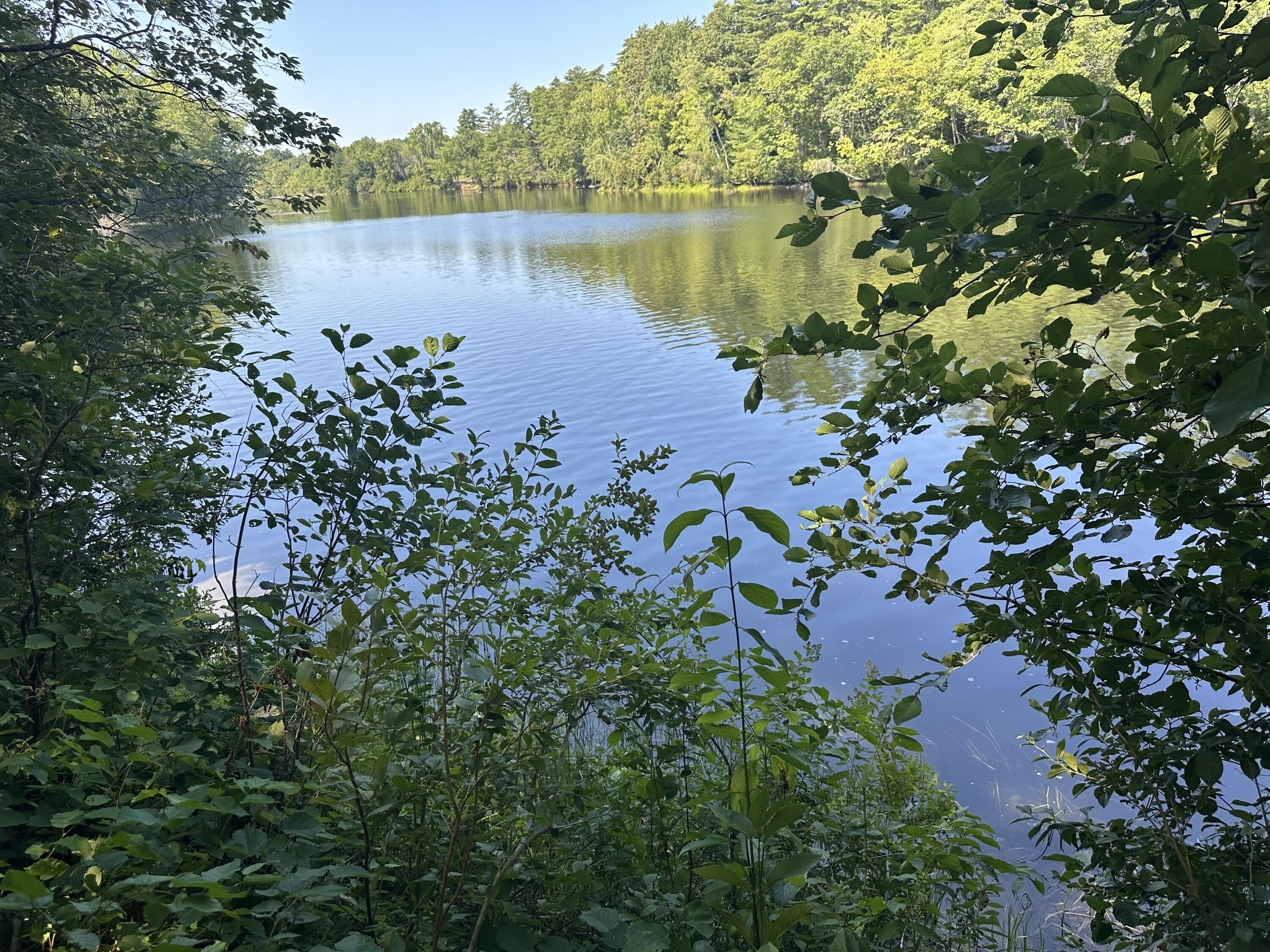 1 Baldwin Road Standish, ME 04085 - Photo 11 of 11 IMG_1638