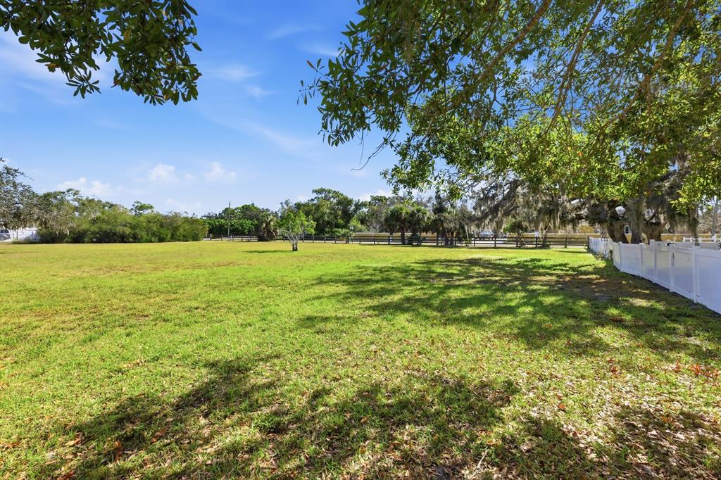 2723 59th Street Sarasota, FL 34243 - Photo 64 of 75 a view of a field with an tree