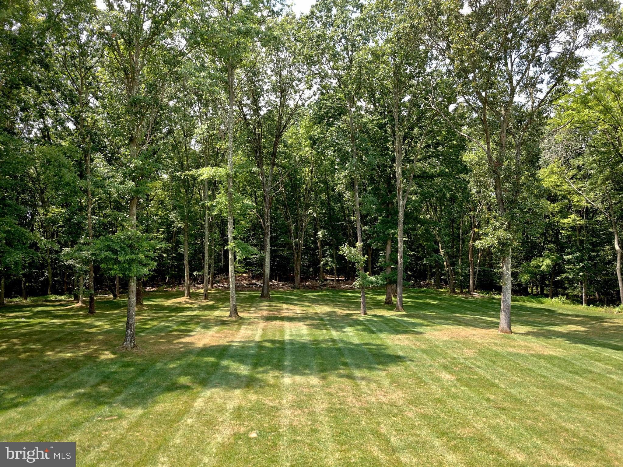 5 Harness Court Cream Ridge, NJ 08514 - Photo 18 of 71 Park like backyard