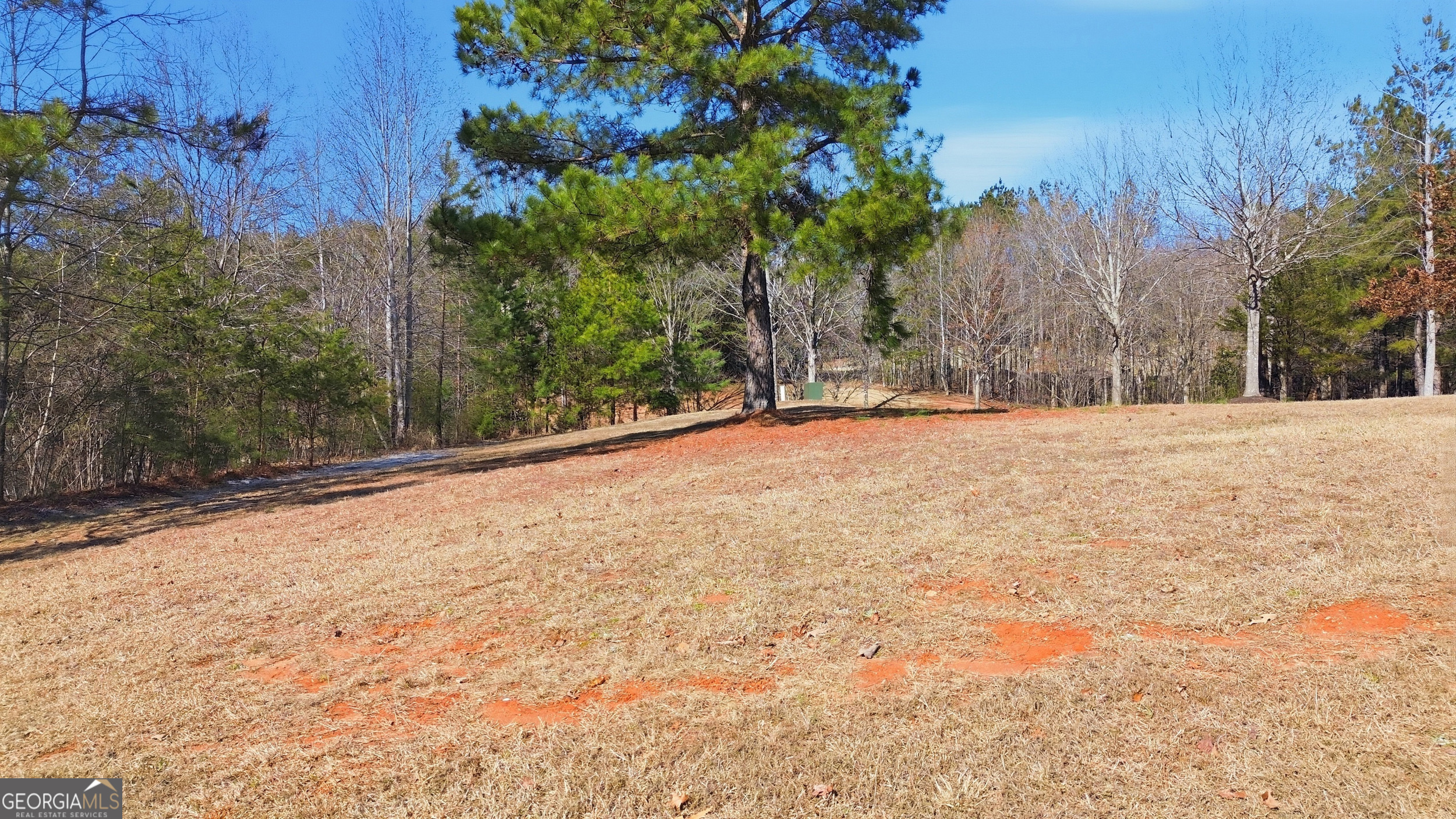 12 Ward's Pond Way Toccoa, GA 30577 - Photo 12 of 18