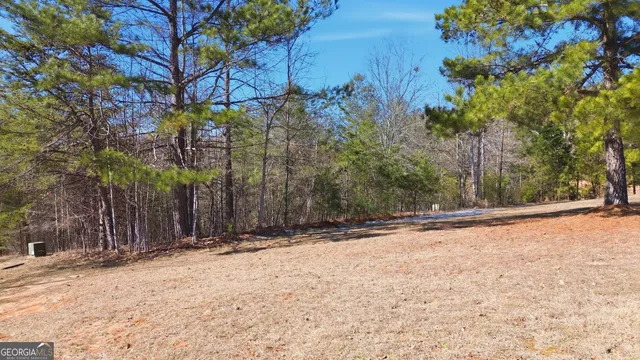 a view of a yard with trees