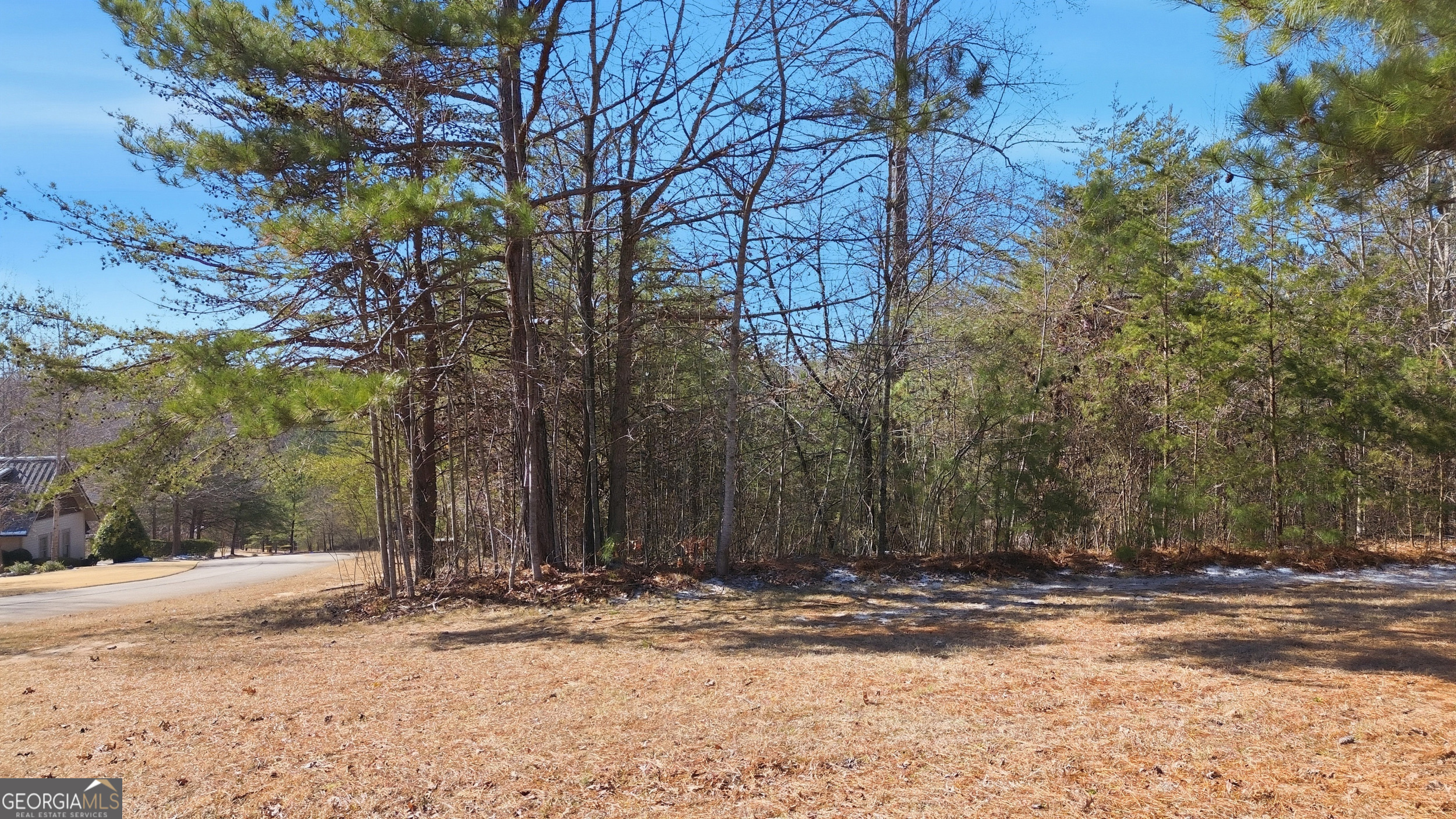 12 Ward's Pond Way Toccoa, GA 30577 - Photo 14 of 18