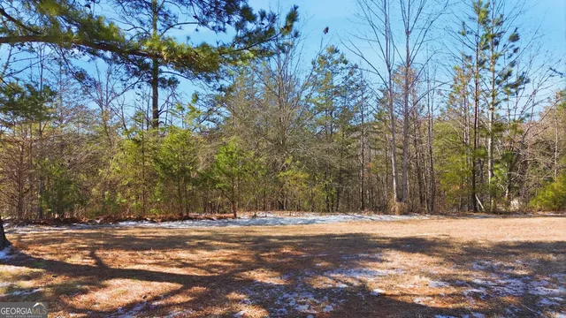a view of large space with trees