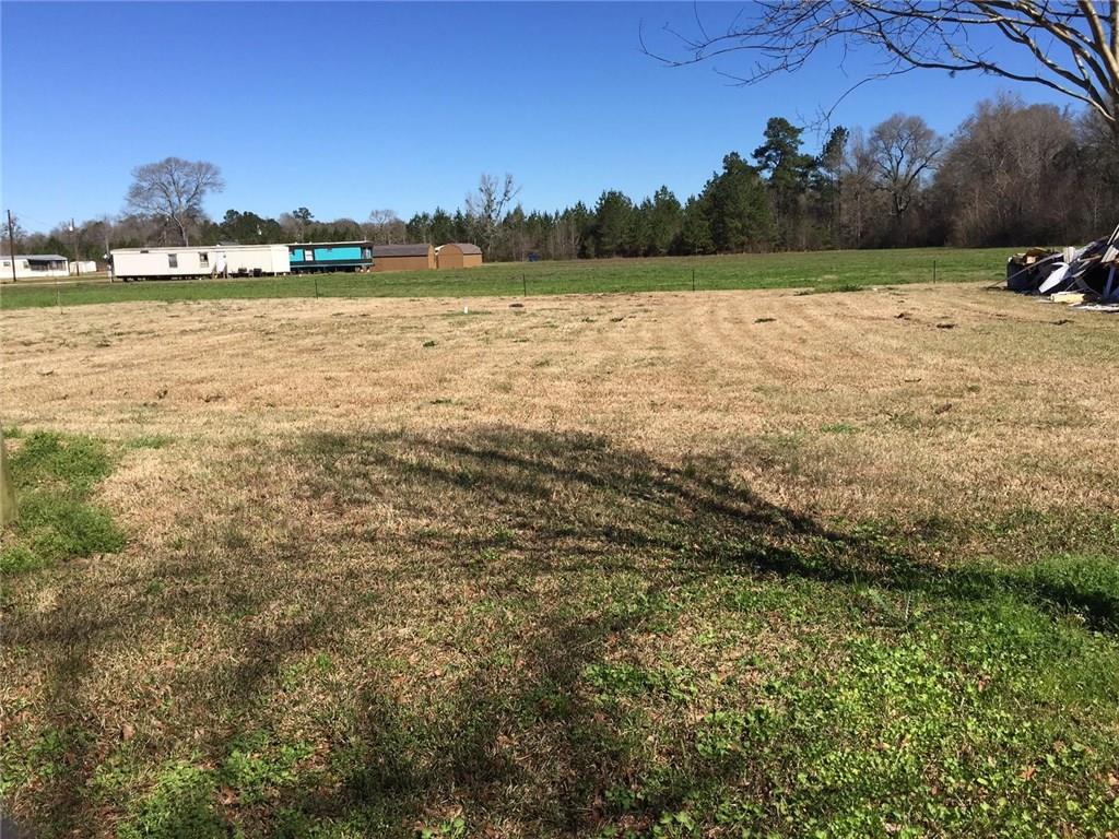 55058 East Durbin Road Independence, LA 70443 - Photo 2 of 2 Gallery Image 2